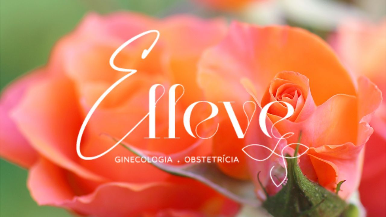 Fernanda  Alhais Maia Pinto-0