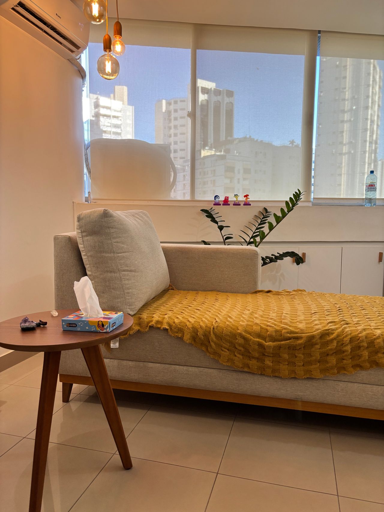 Emir Baiocchi Neto-5