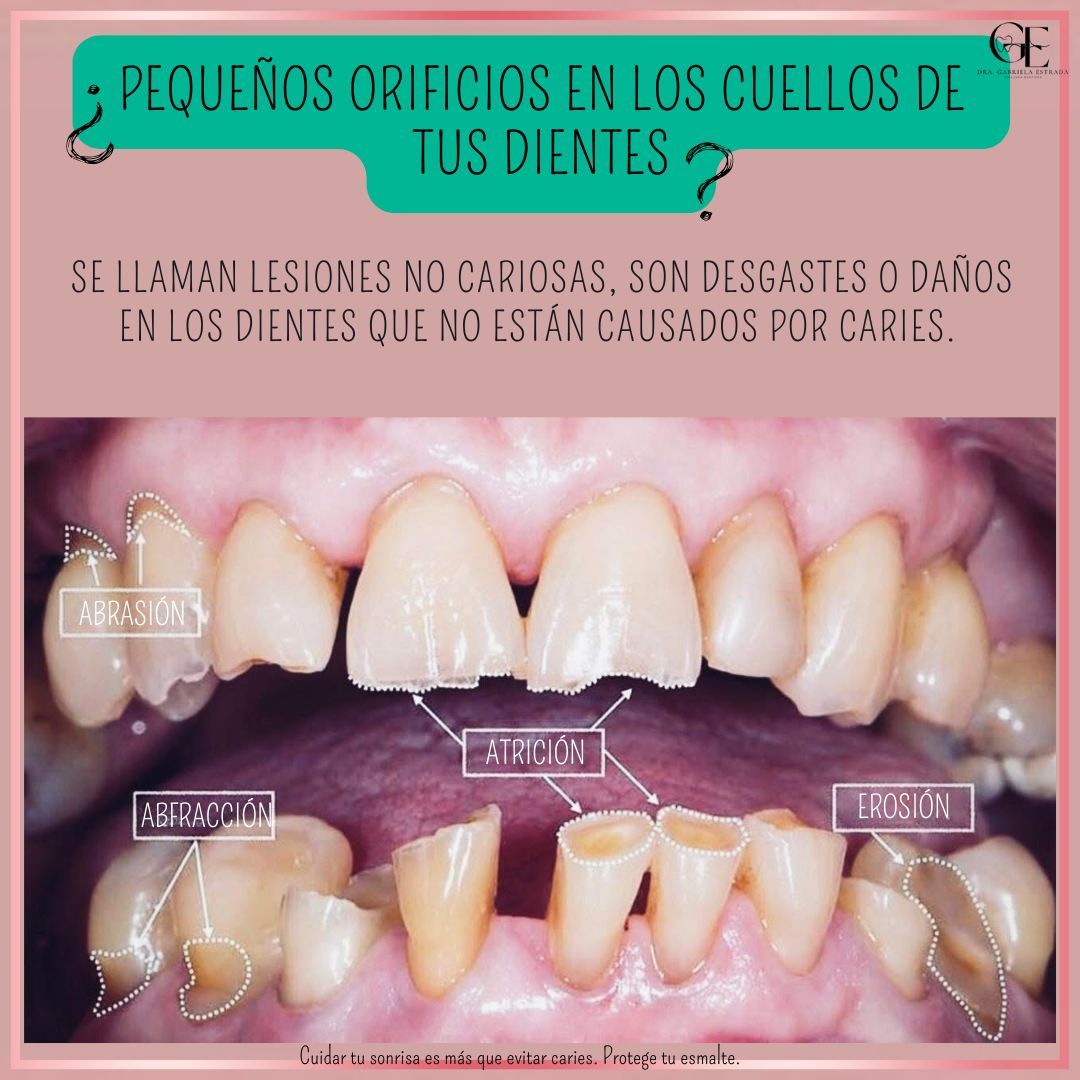 Gabriela Estrada Mura-28