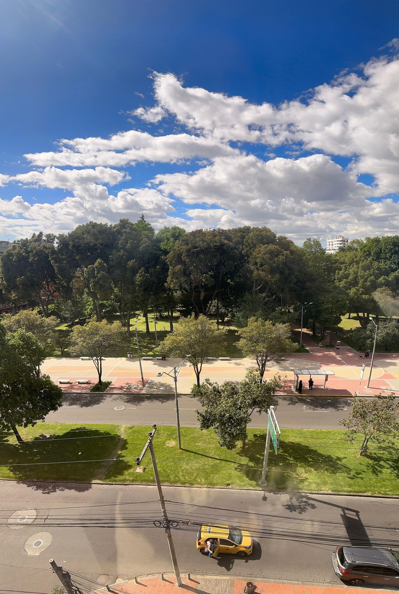 Laura Rodriguez Salgado-8