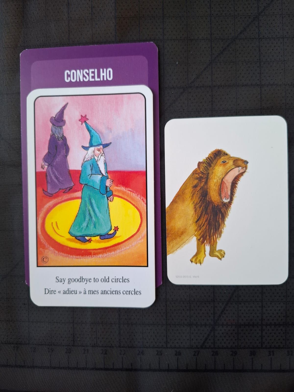 Maria Manuela Ferreira-5