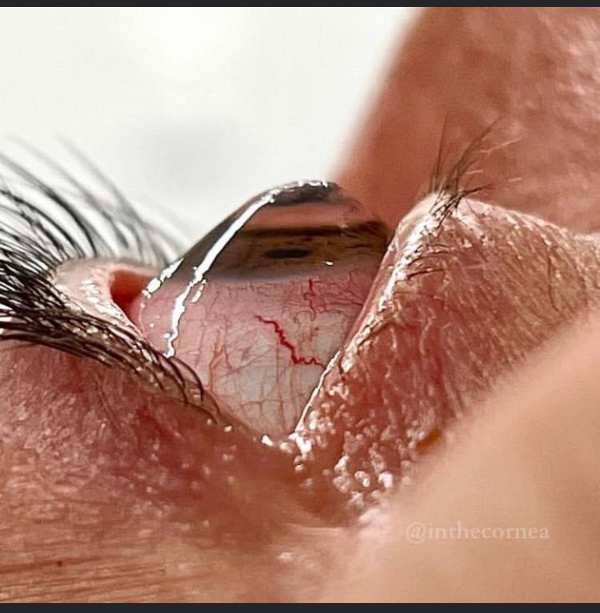 Vanessa Vidal Orozco-5