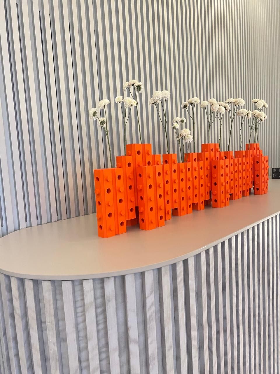 Roberio Brandao Moreira Junior-2