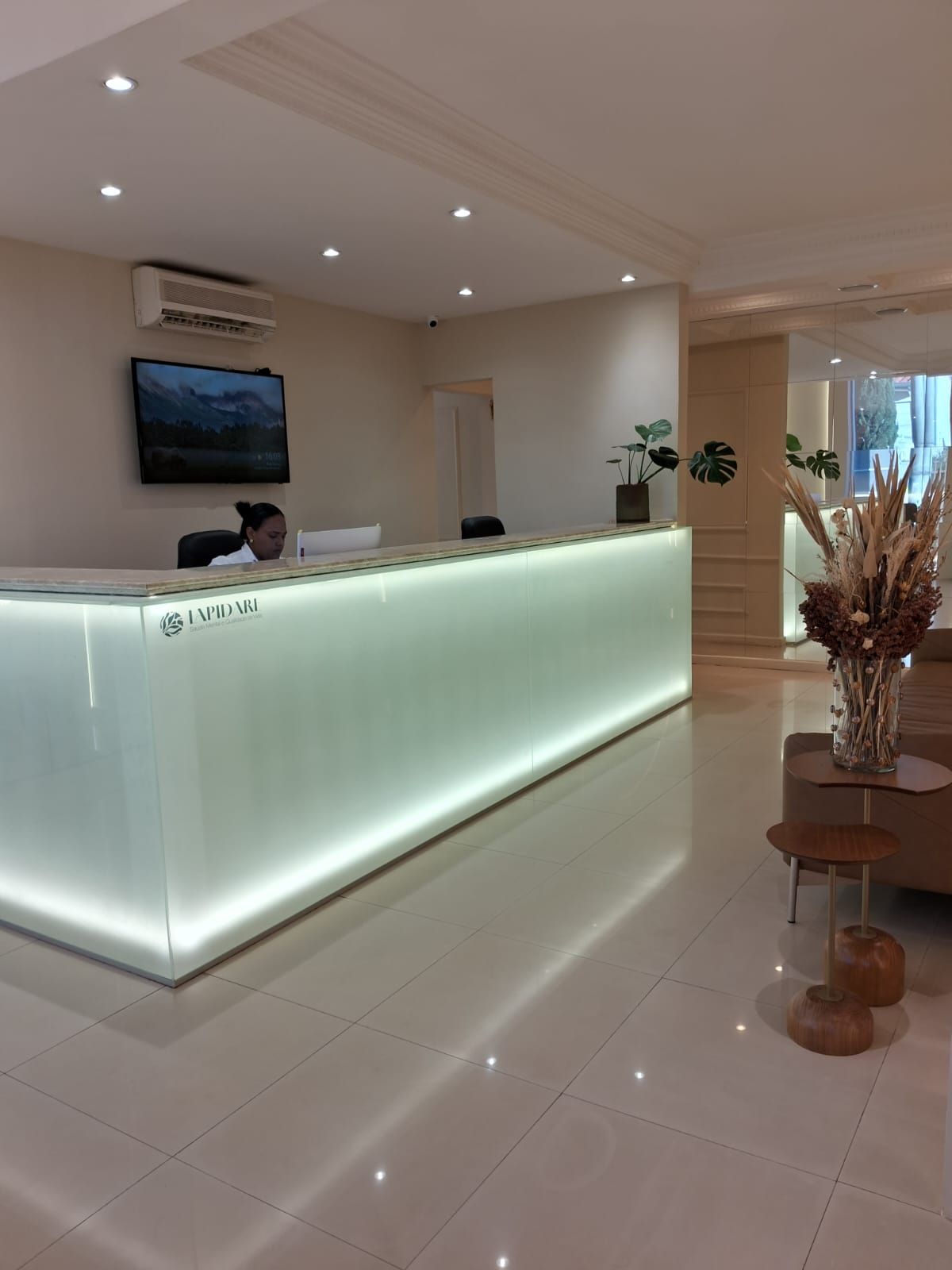 Carolina Lemos Abreu Silveira-2