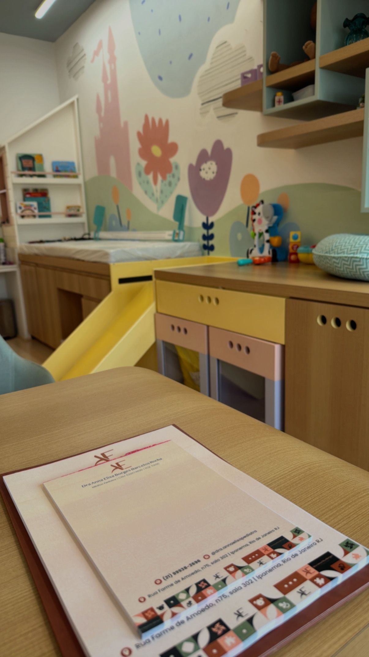 Anna Elisa Borges Barcelos-4