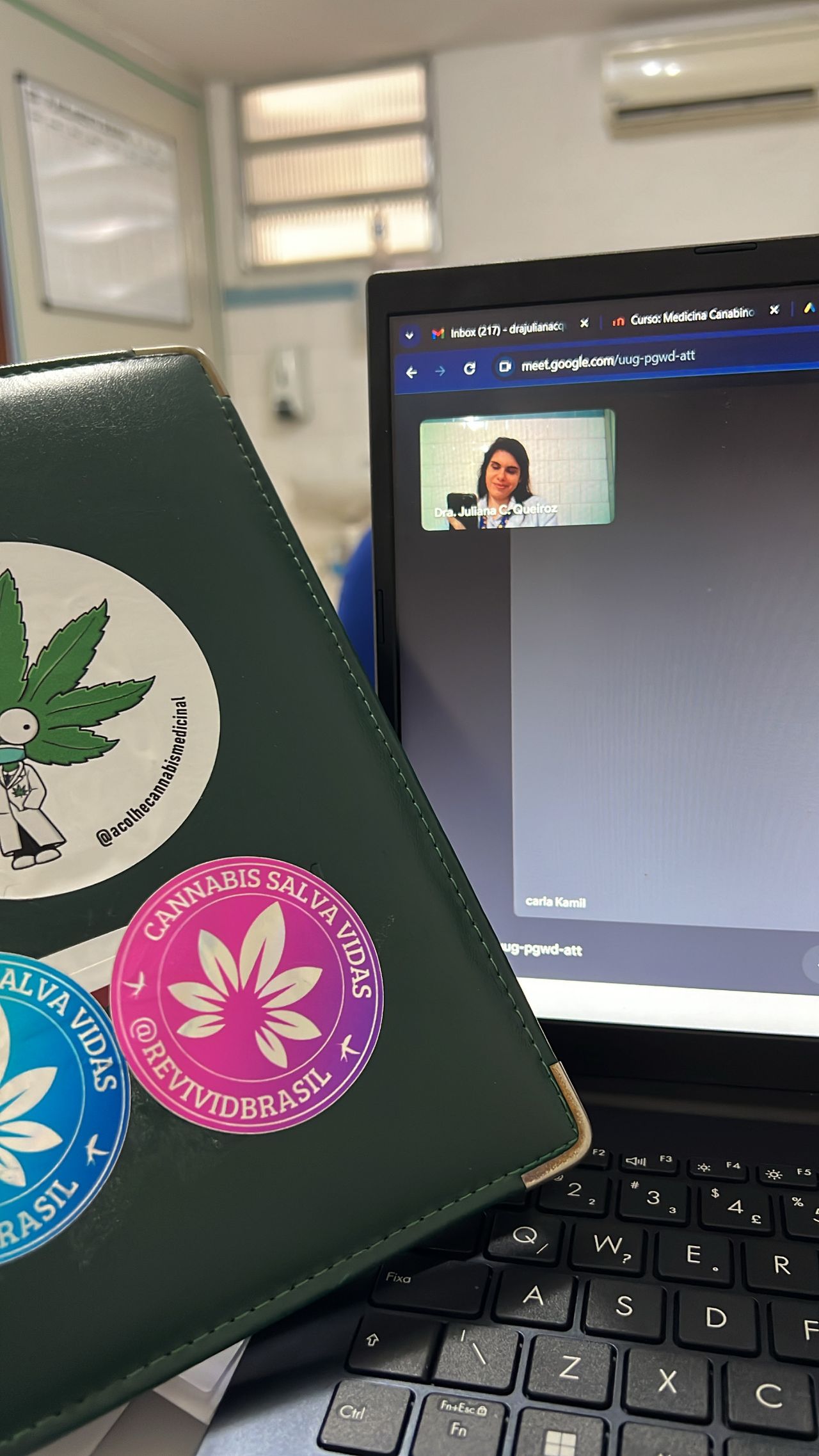 Juliana C. Queiroz-1