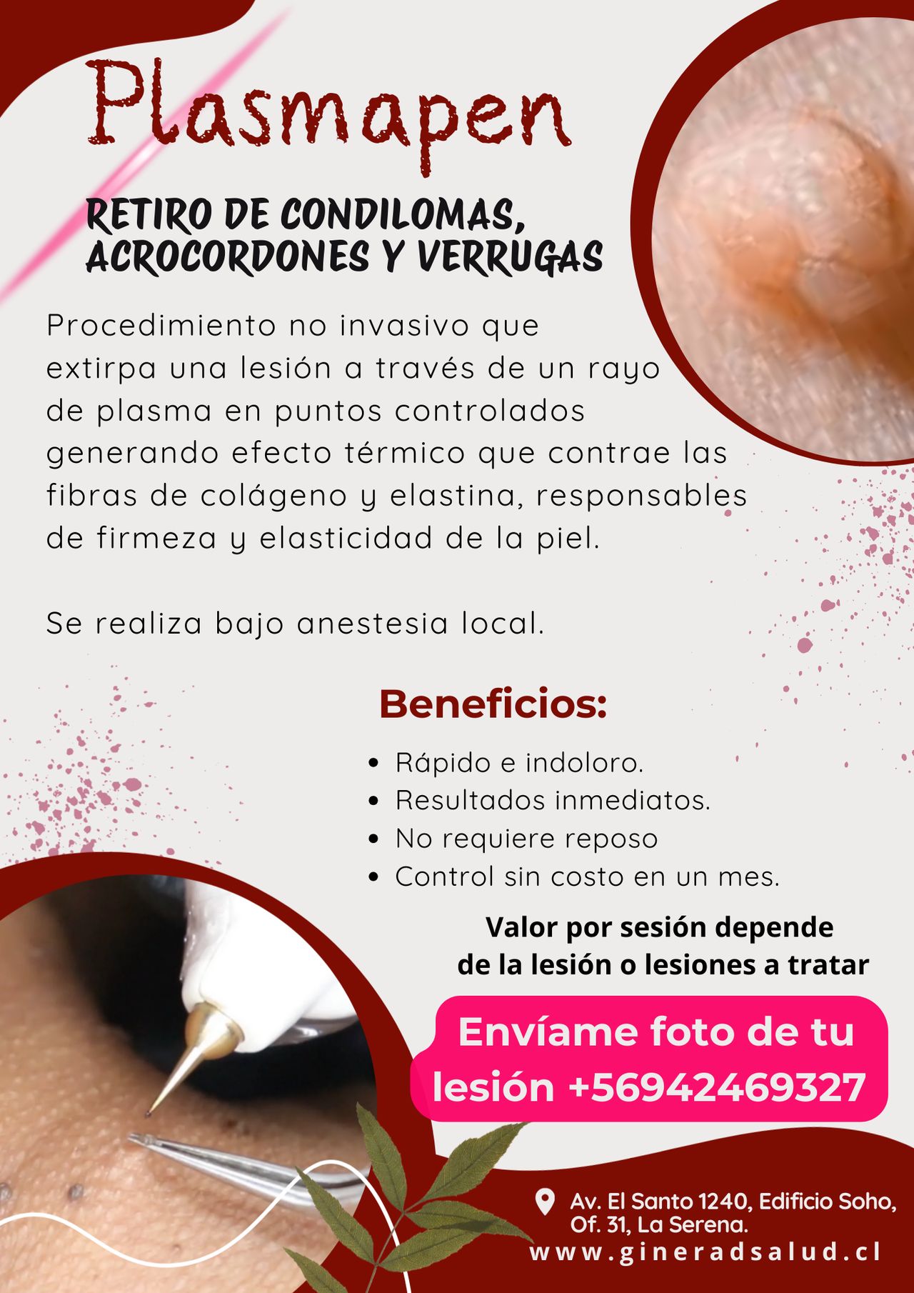 Camila Dinamarca Henríquez-18