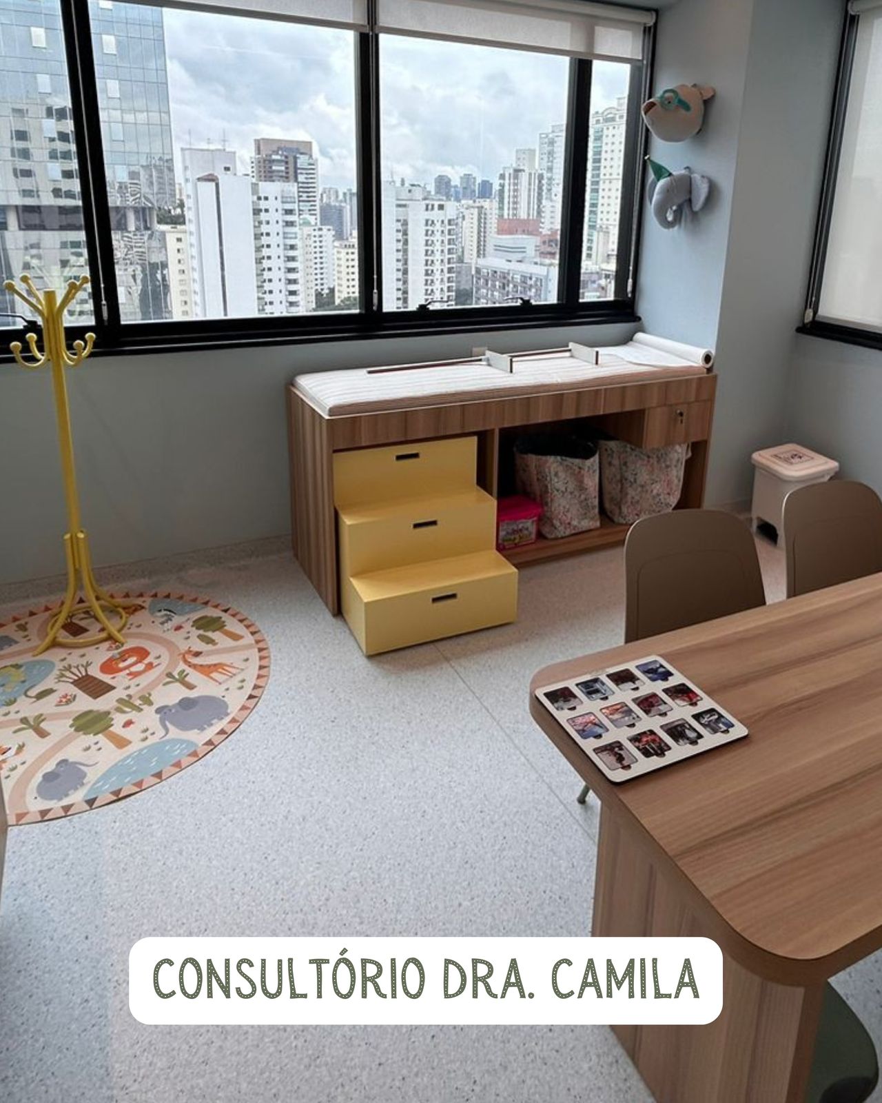 Camila Silva D'almeida -7