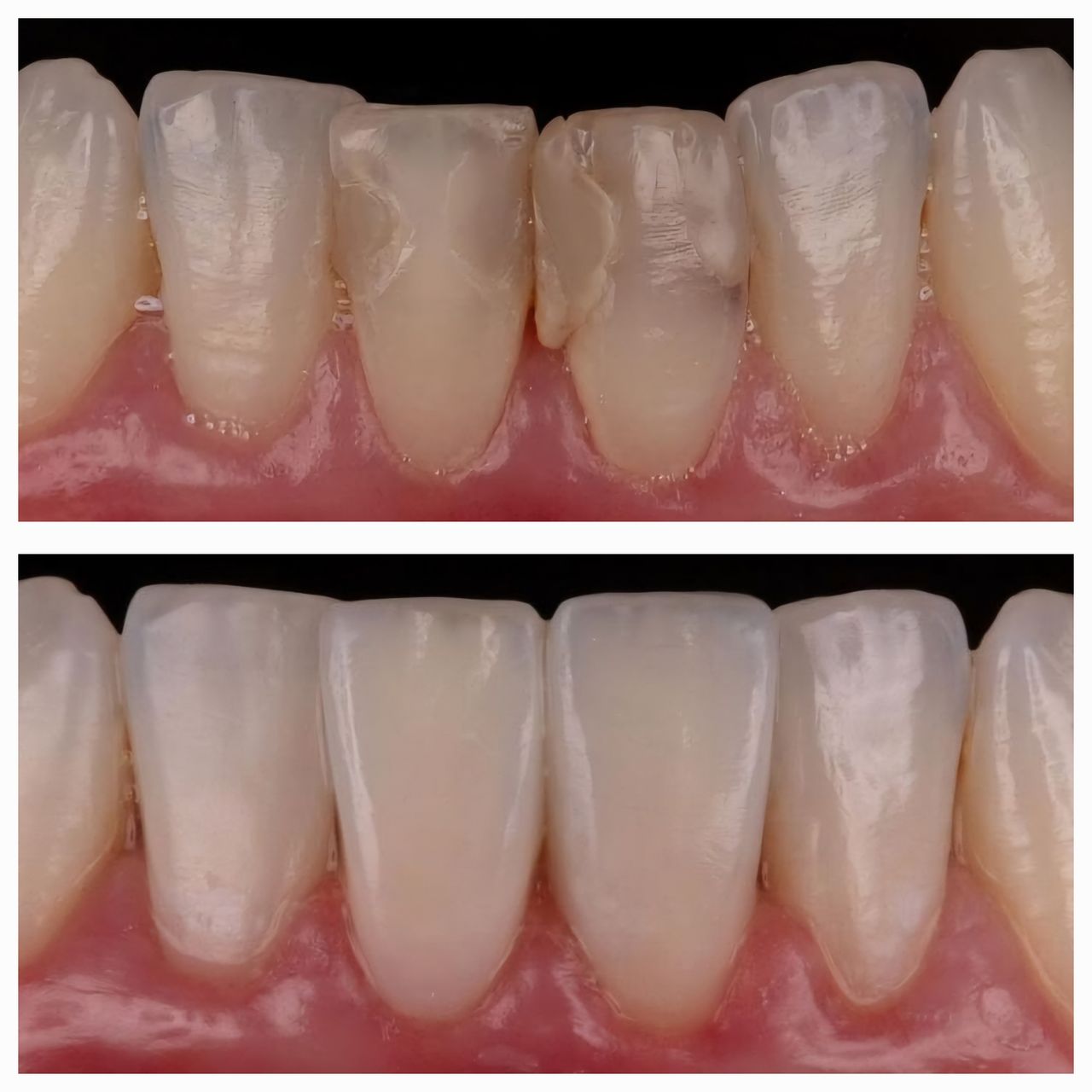 Ana Virginia  Pinheiro -5