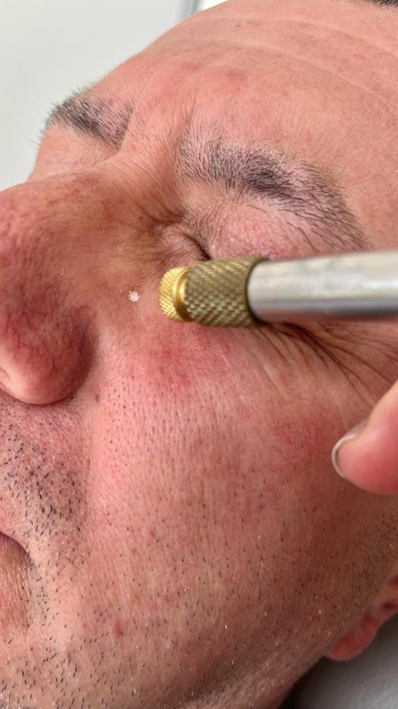 Ana C. Martinez Ibarra-18