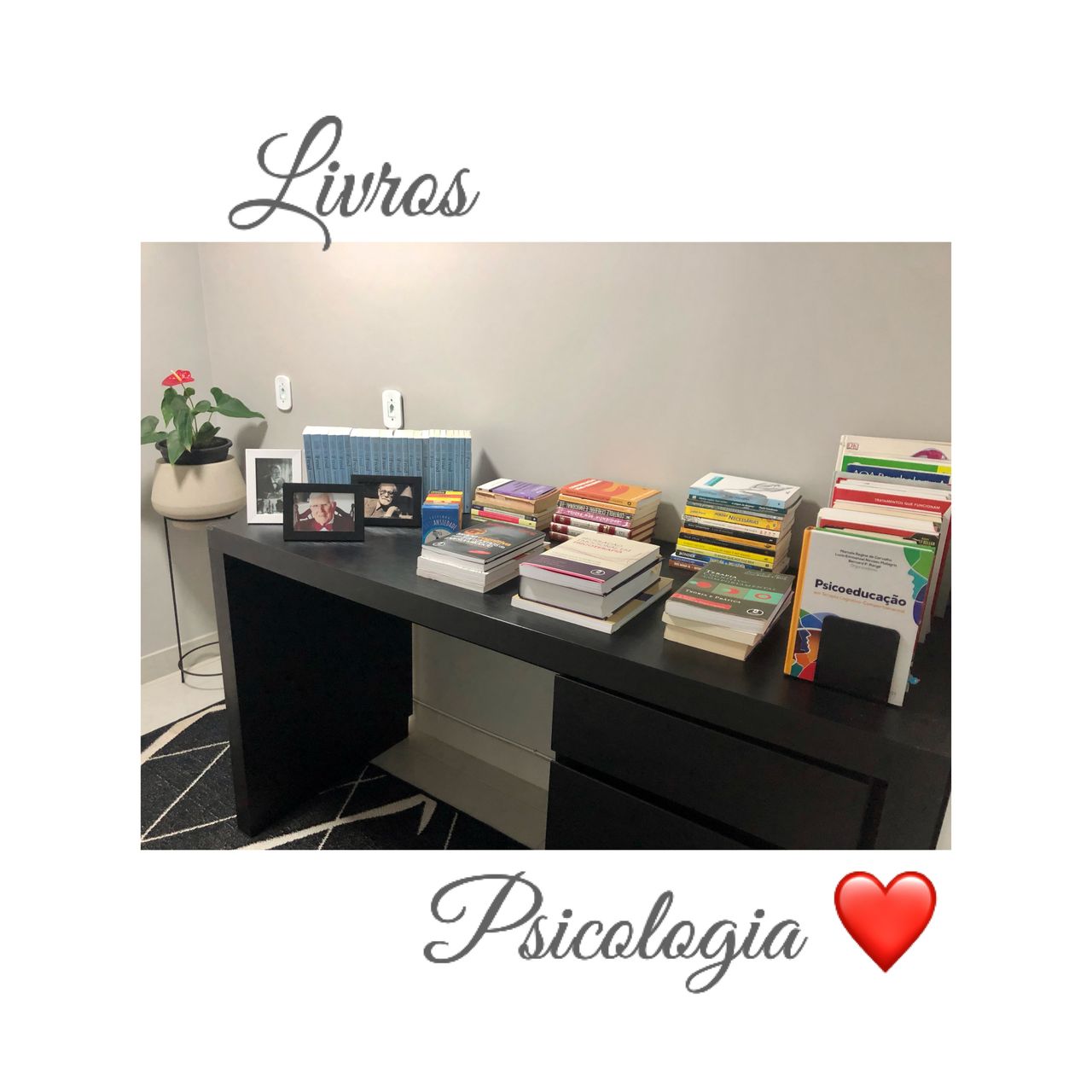 Carolina Rodrigues Santarém Muniz-2