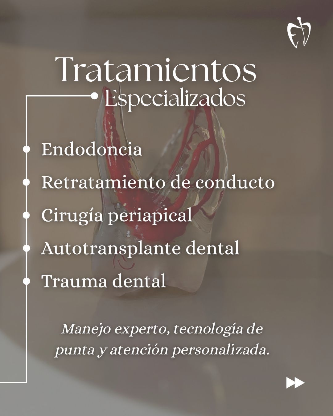 Erika Jimenez Cante-9