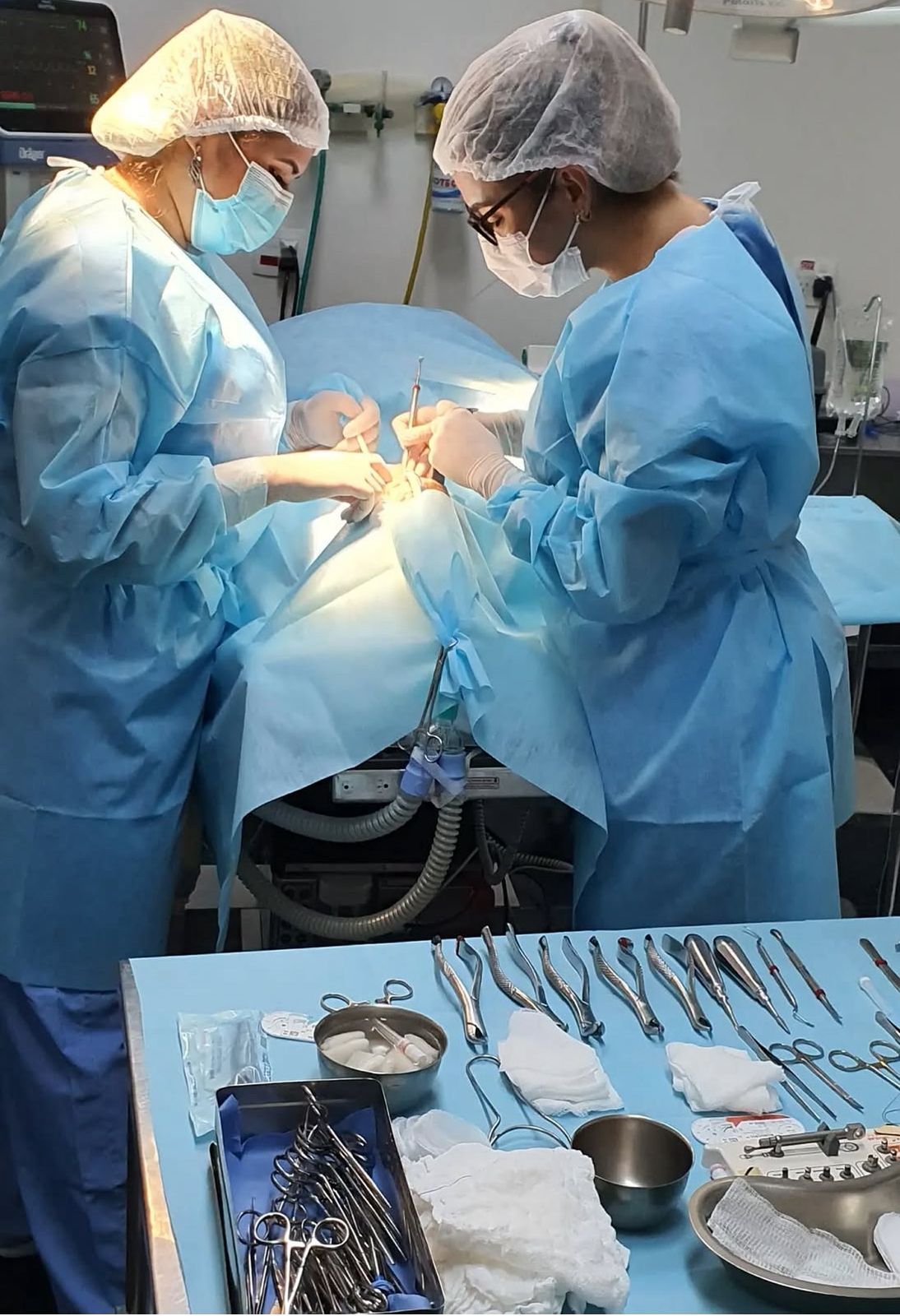 Luciana Cruz Berti-1