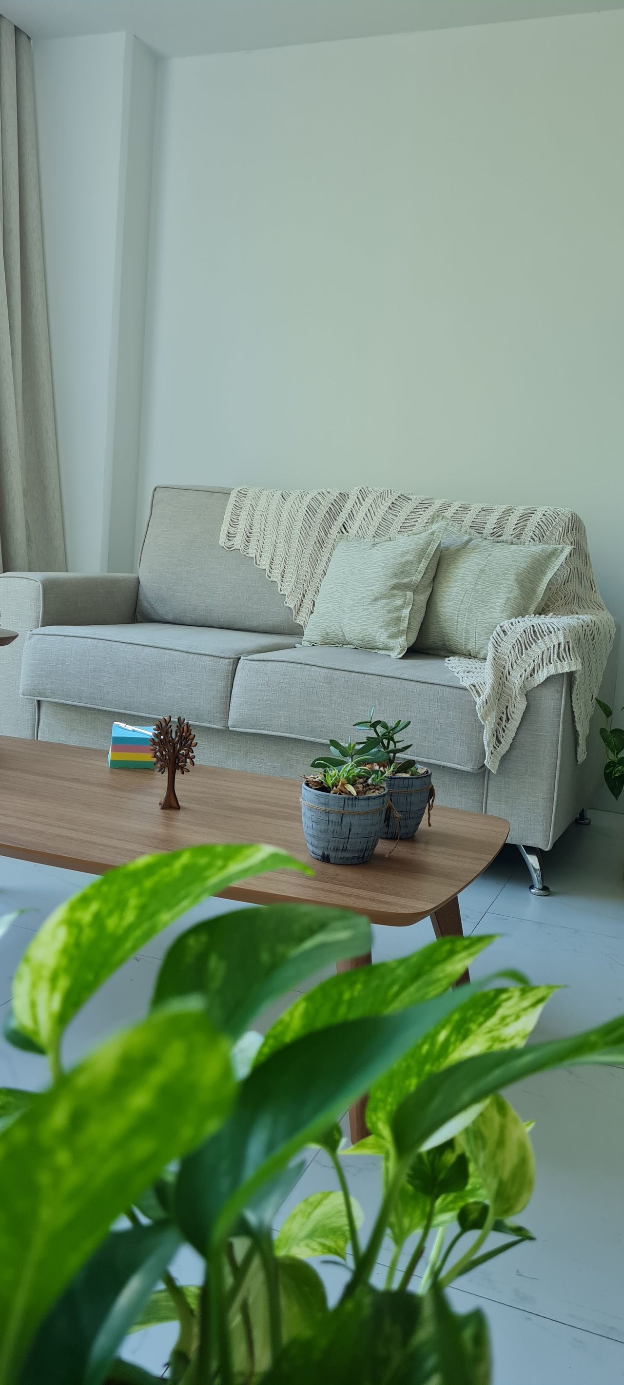 Elyni Porto Borges Vincenzi-14