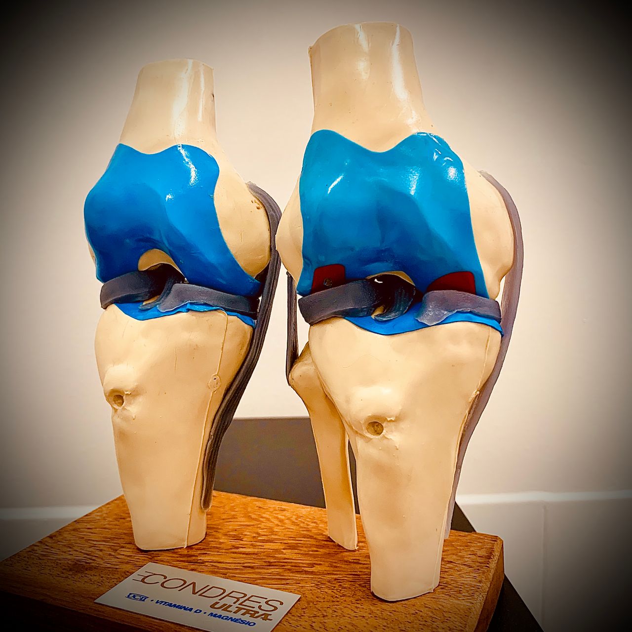 Rodolpho Rabello Pedrosa Costa-22