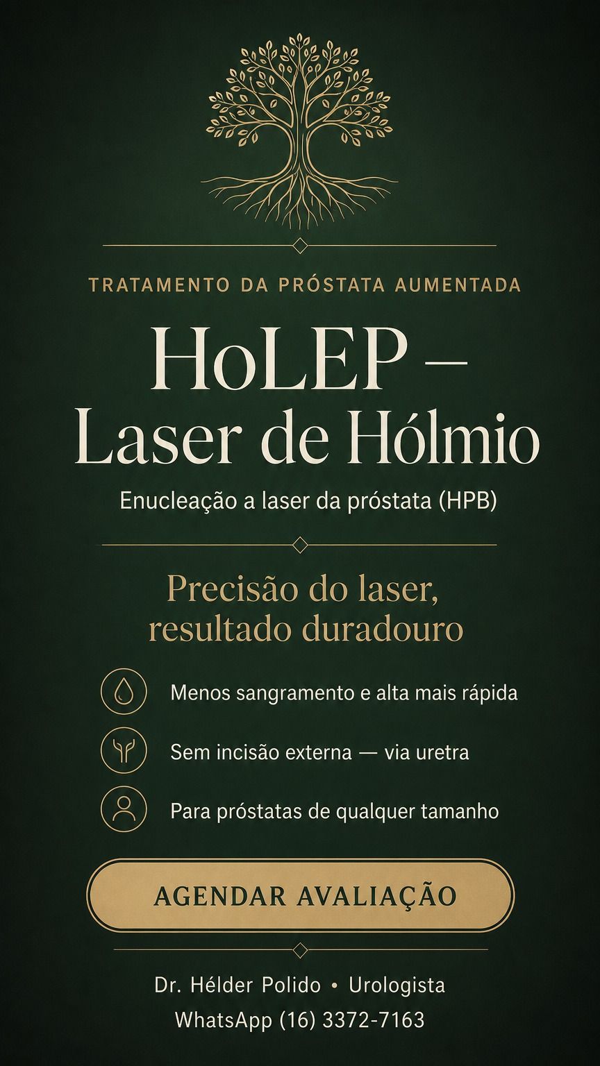 Helder Polido-36
