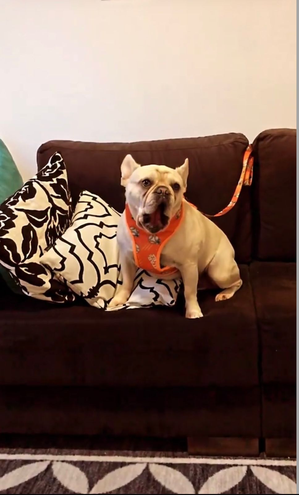 Maria Veronica Chávez Morales-3