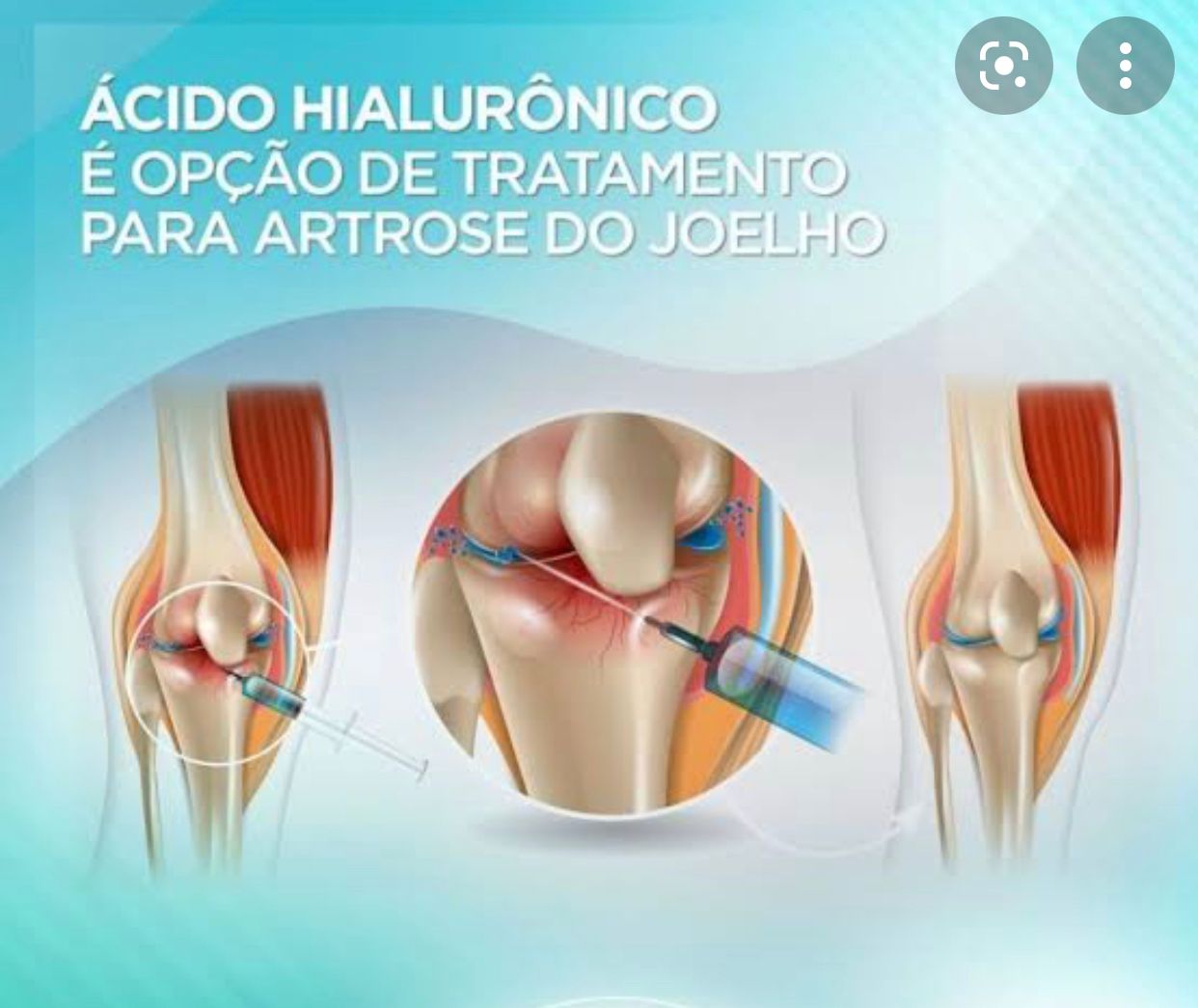 Pedro Saraiva Roldão Júnior-28