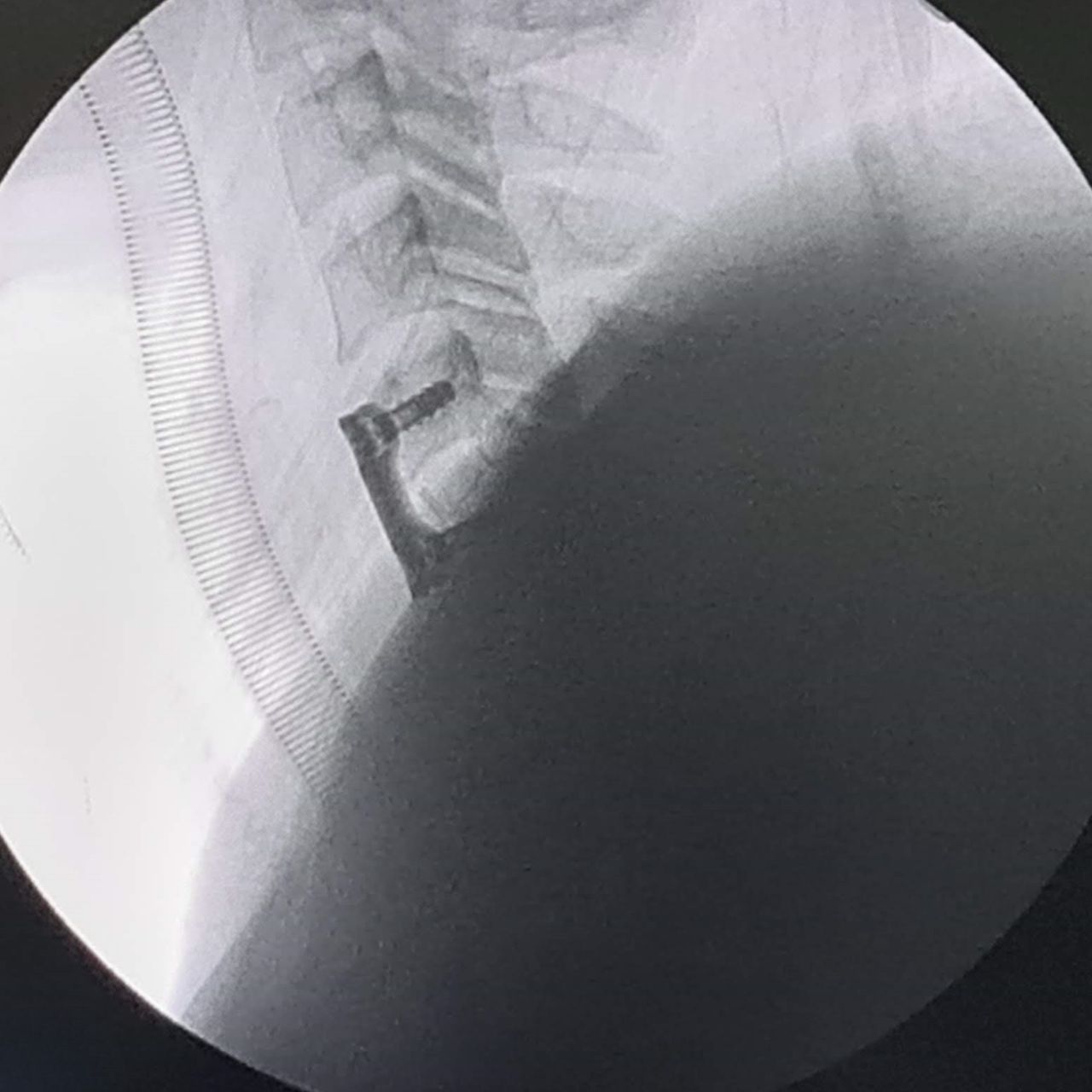 David Tafur Muñoz-1455