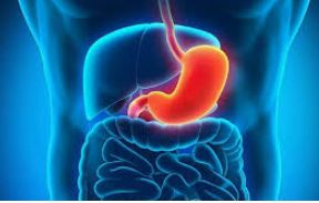 Carolina Fischer Cunha-1