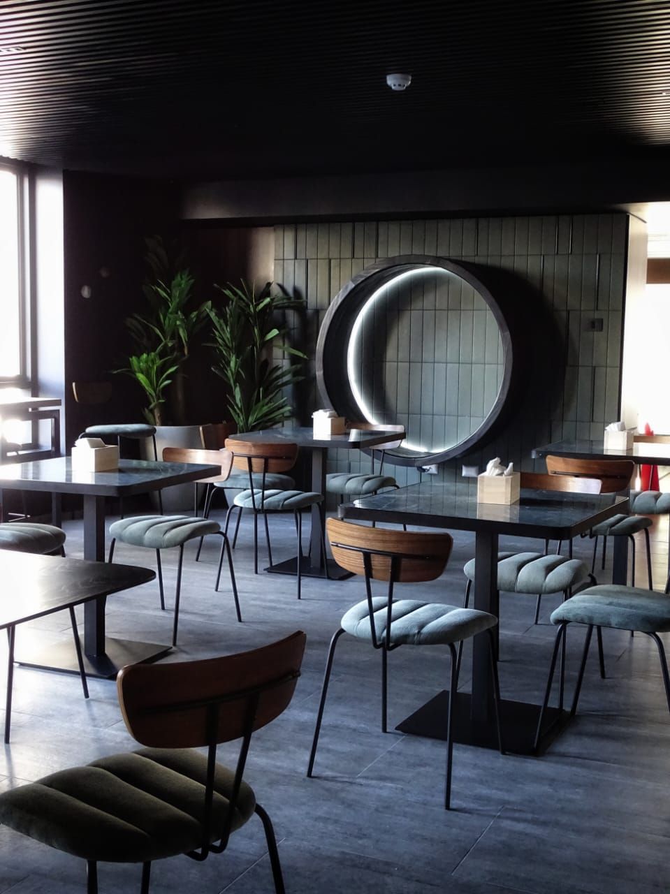 Carolina Arriagada Paz-2