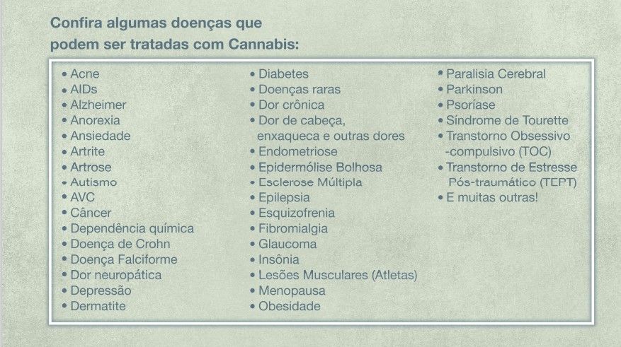 Angela Beatriz Mercado Acevedo-9