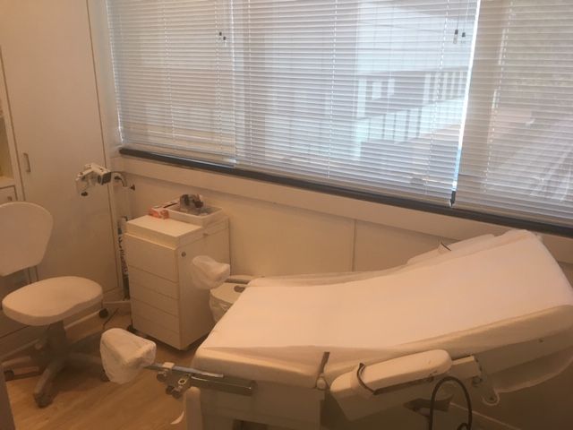 Erica Elaine Traebert Simezo-4