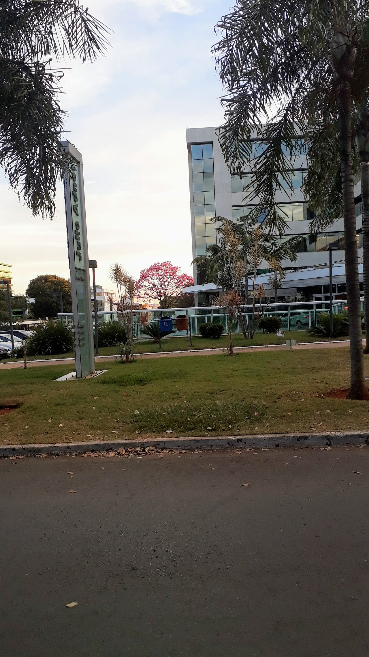 Vivian Gabrielle Barreto Amorim-4