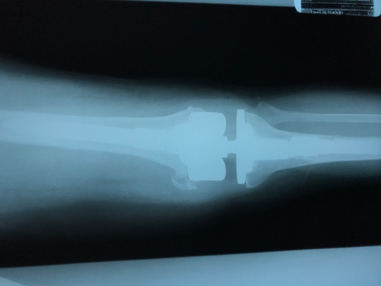 Eduardo Ramalho De Moraes-3