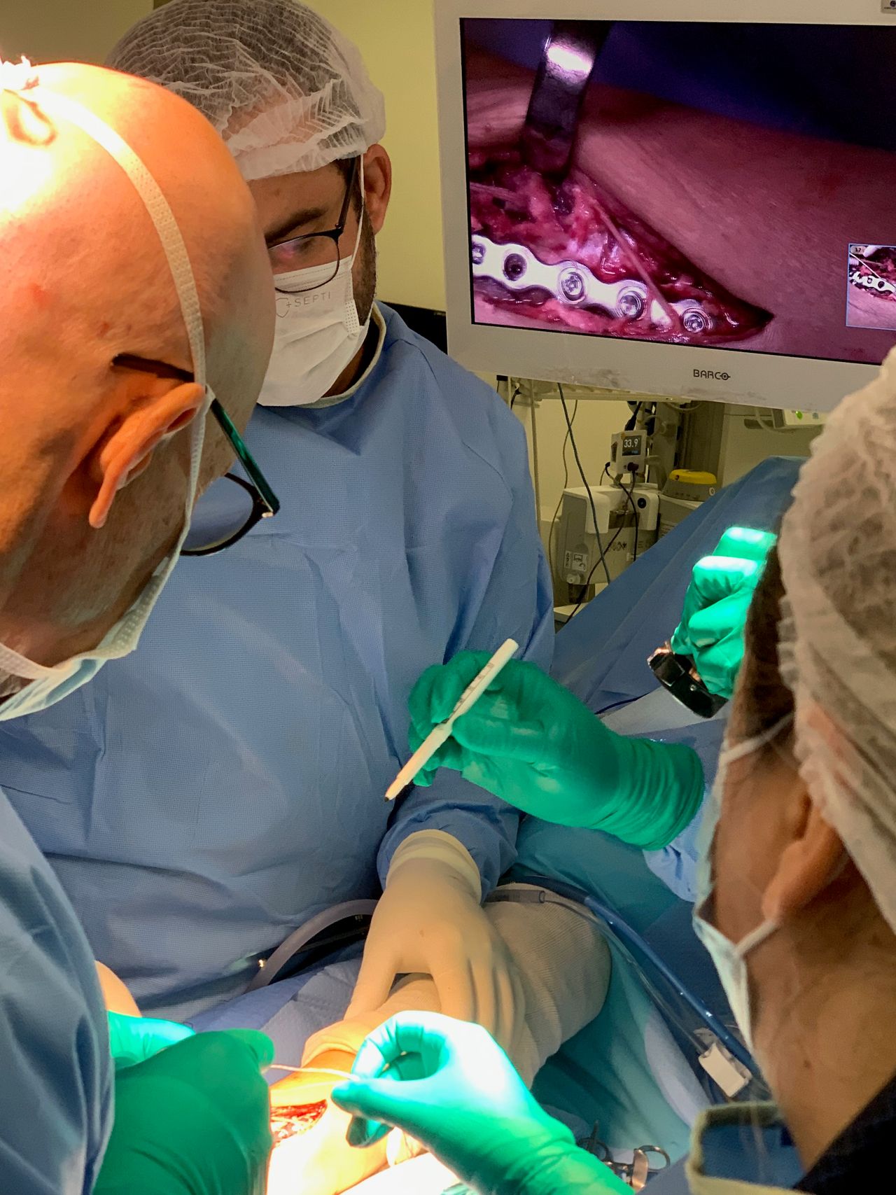 Vinicius Alvarenga Pereira-18