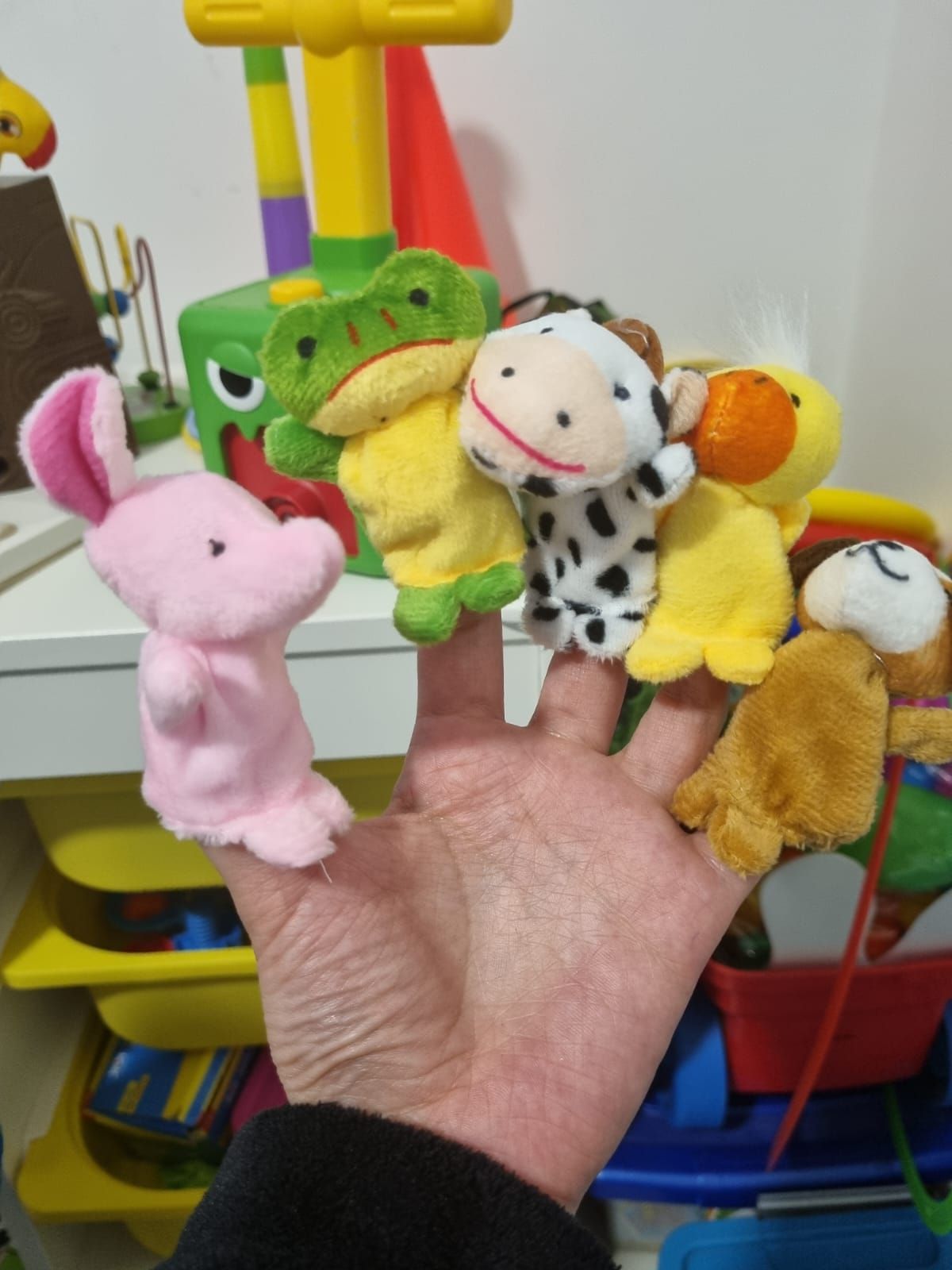 Daniela Garrido J.-11