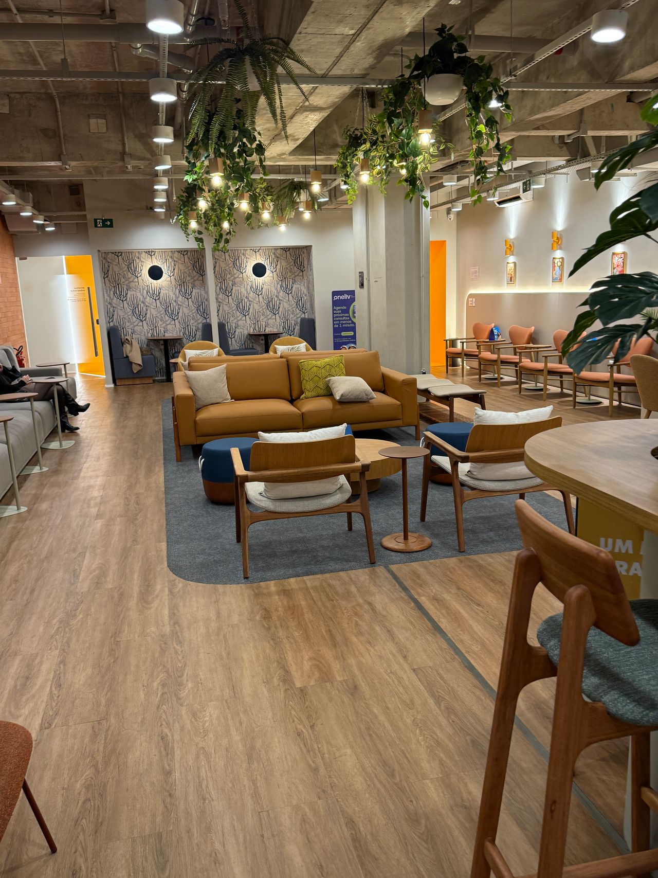 Letícia Barcelos Ribeiro-14