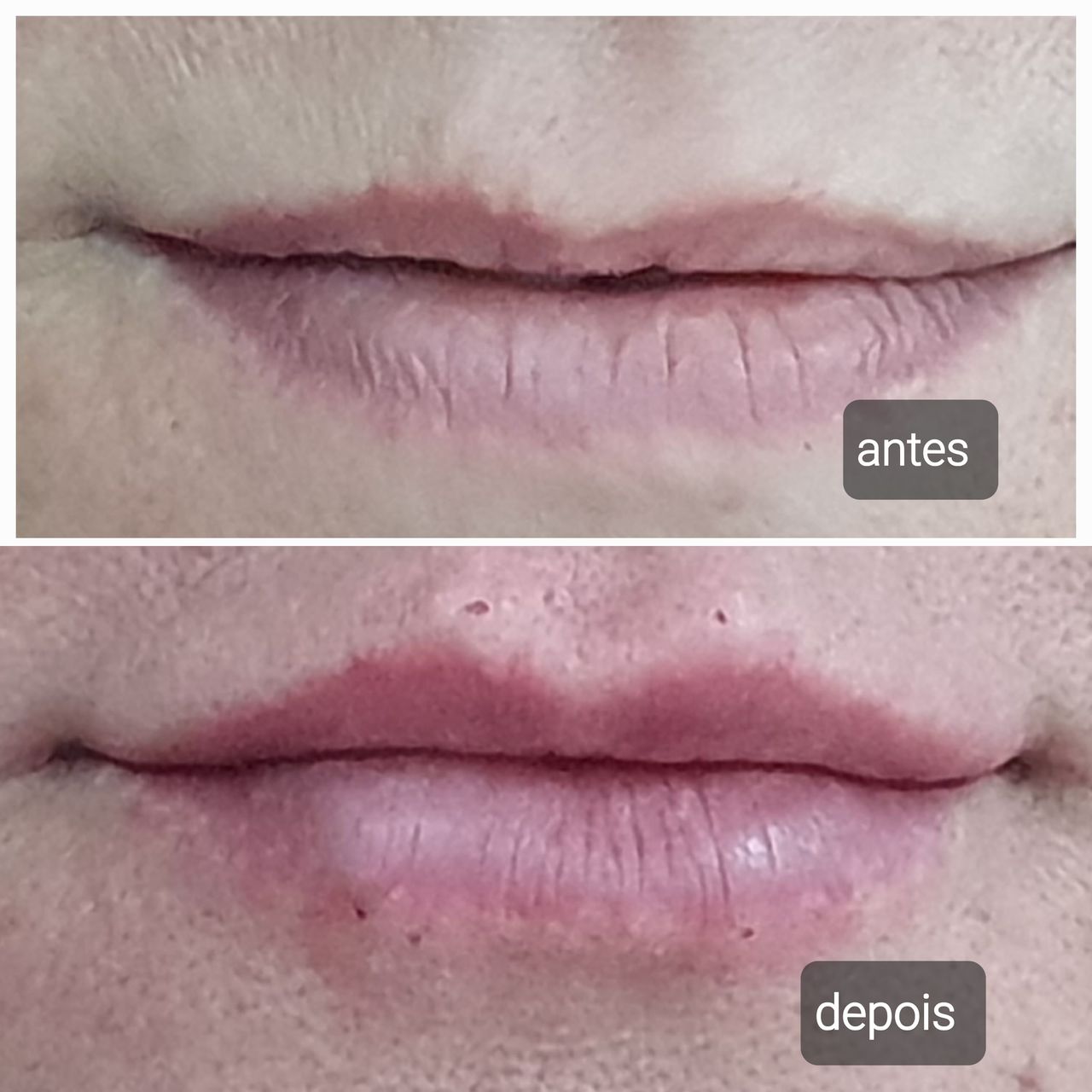 Otacilio Passarelli Ribeiro-9