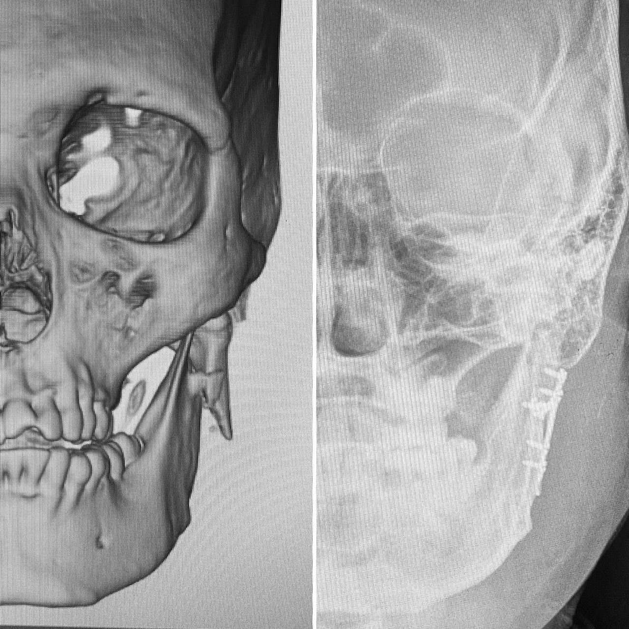 Jose Vicente Rocha Fernandez-9