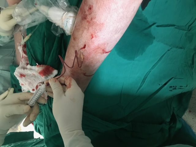 Ricardo Wagner Vasquez-17