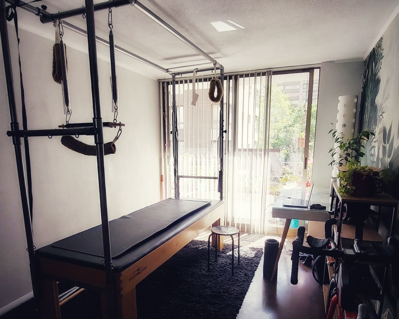 María José Araneda Fuentes-5