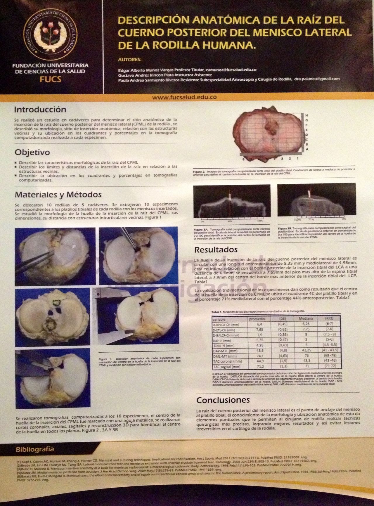 Paula Andrea Sarmiento Riveros-9