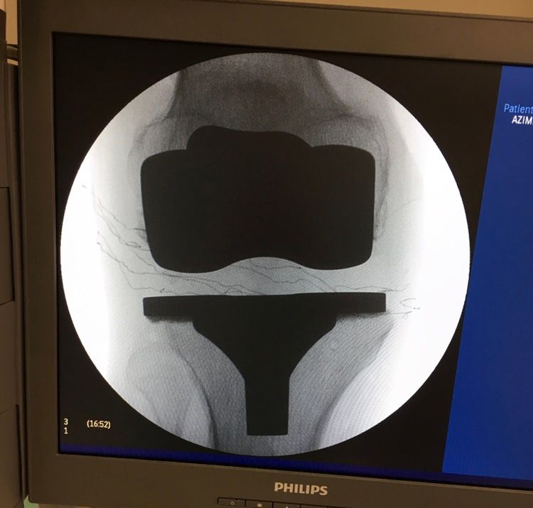 Dimitri Lovisaro Rumiantzeff-19