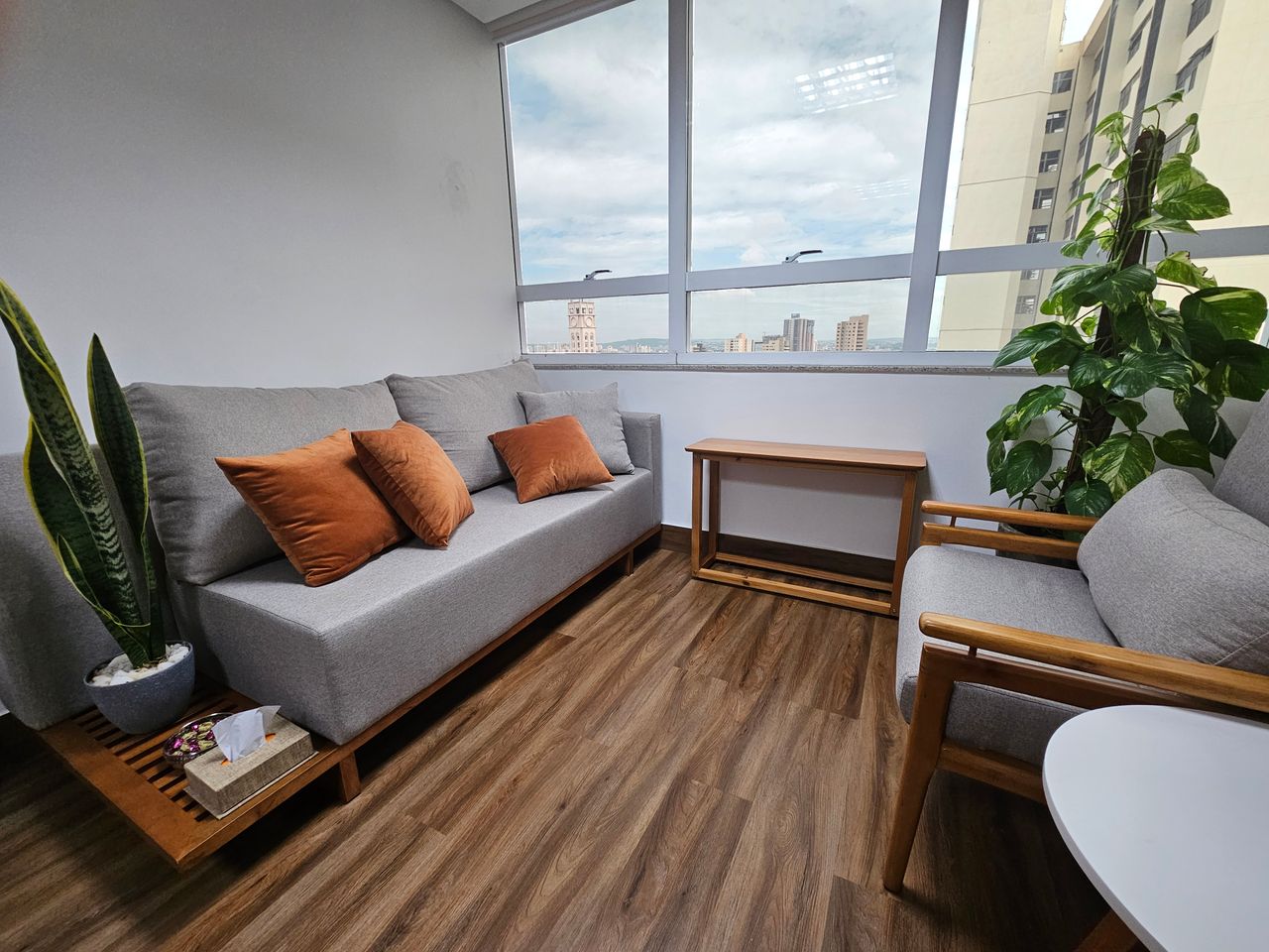 Júlio Manoel Dos Santos Filho-1