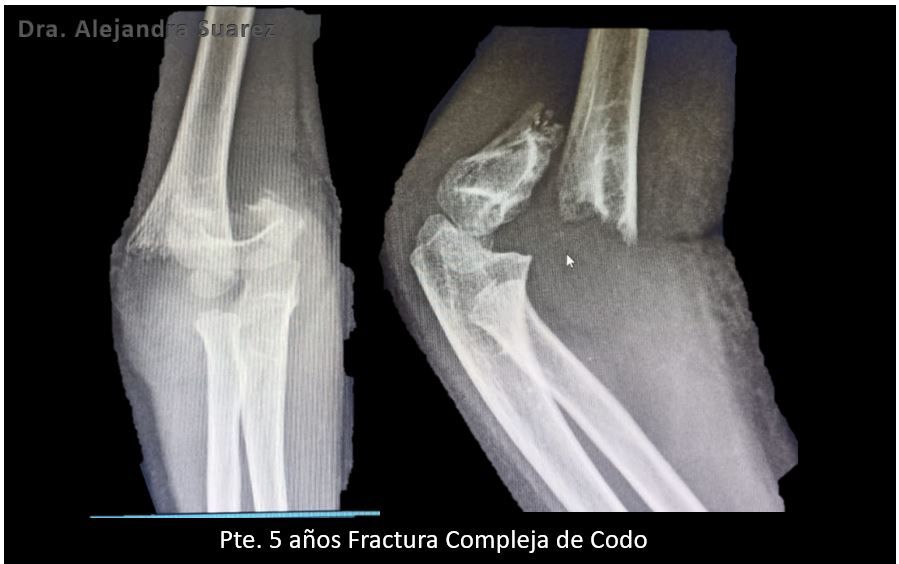 María Alejandra Suárez Merchán-6