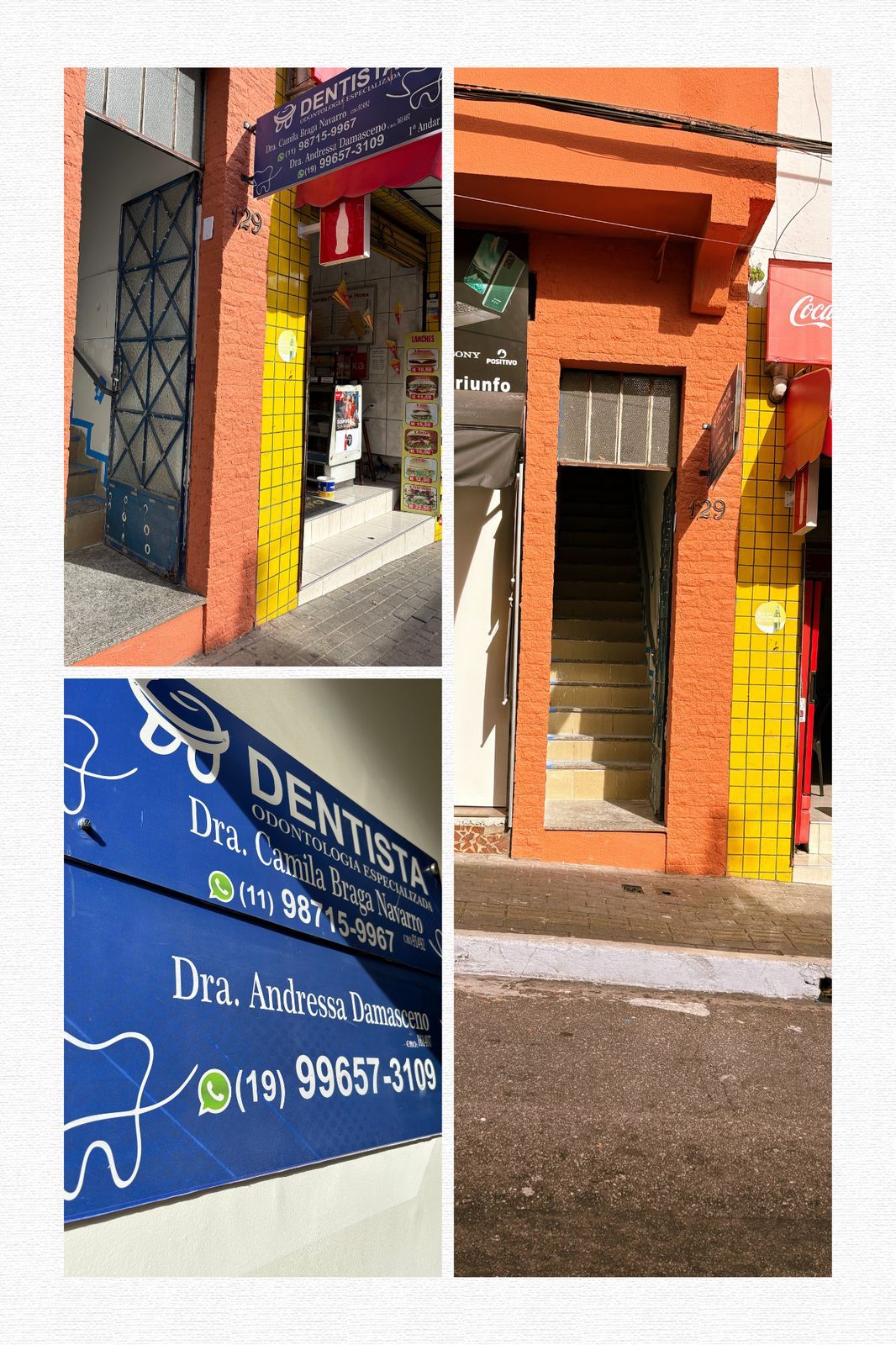 Camila Braga Navarro-0