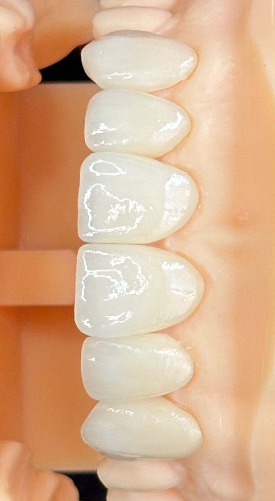 Luís Felipe Chicaroni-6