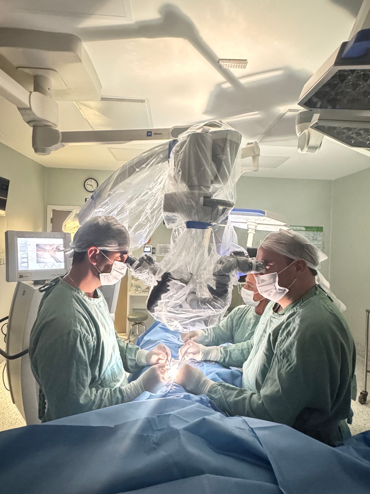 Felipe Amoedo Luedy-12