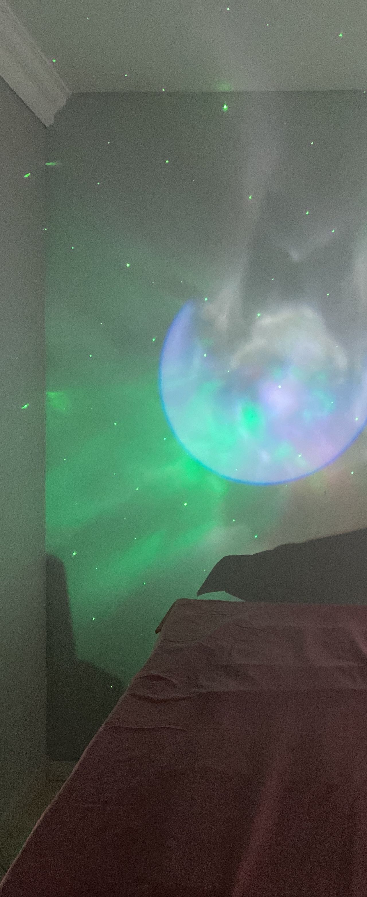 Thaynara R. Gavioli-6