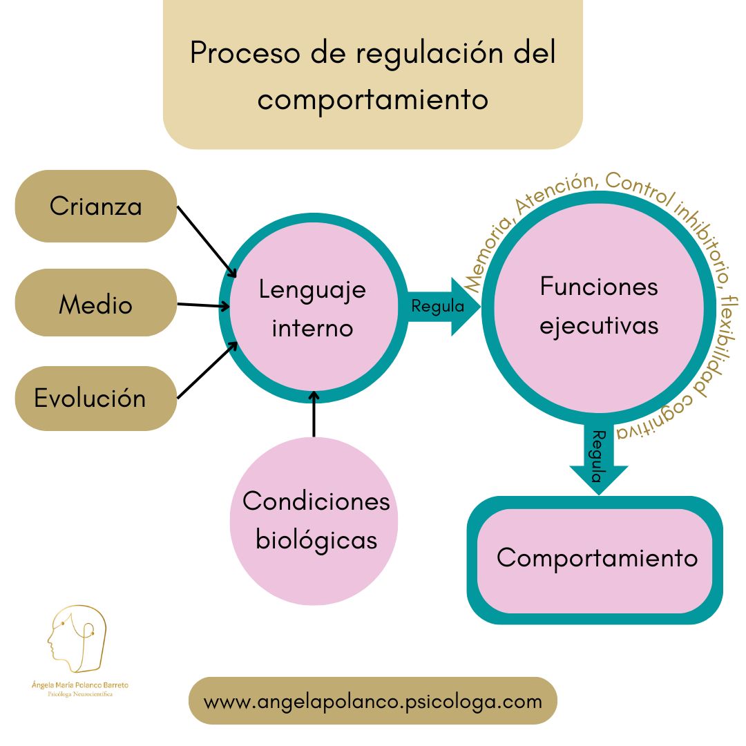 Angela María Polanco Barreto-3