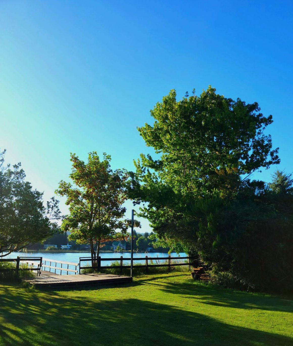 Dania Valverde Carrasco-2