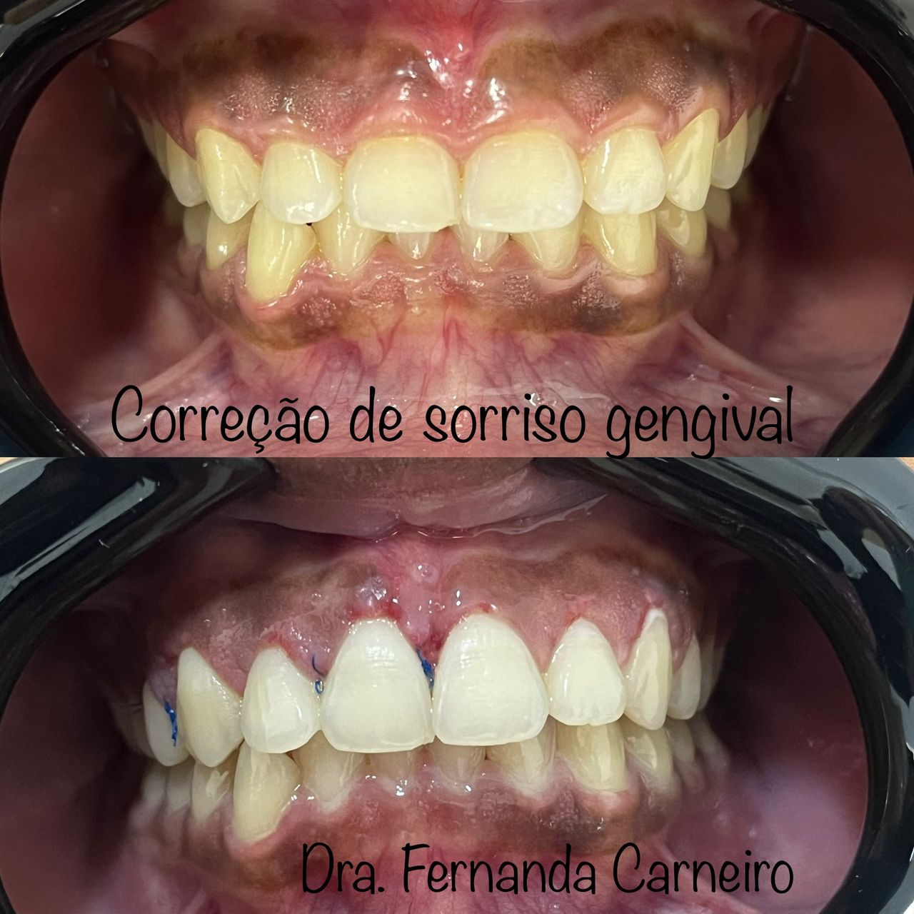 Fernanda Carneiro Pinto-2