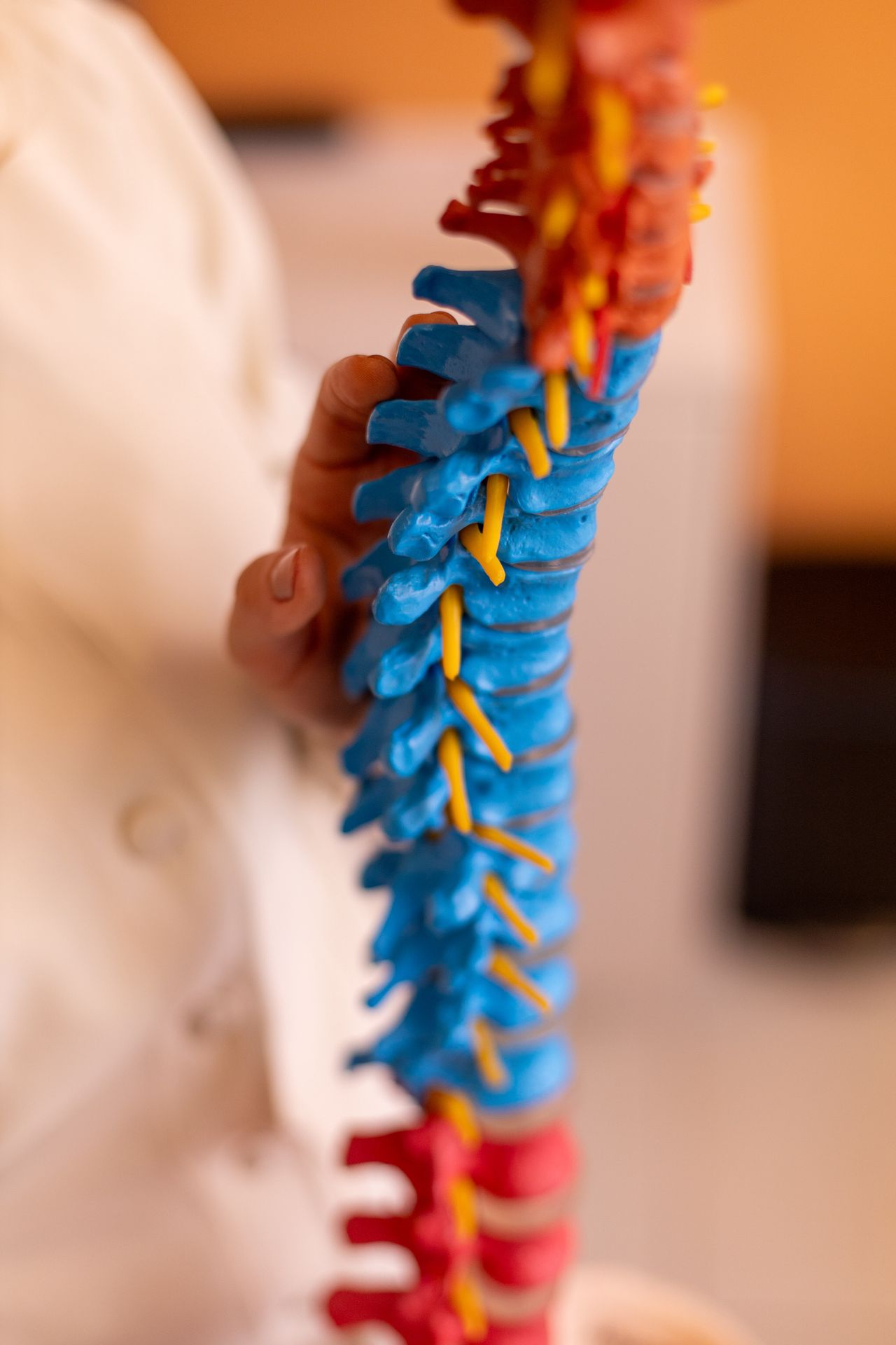 Nicoli Greco Müller Dos Santos-0