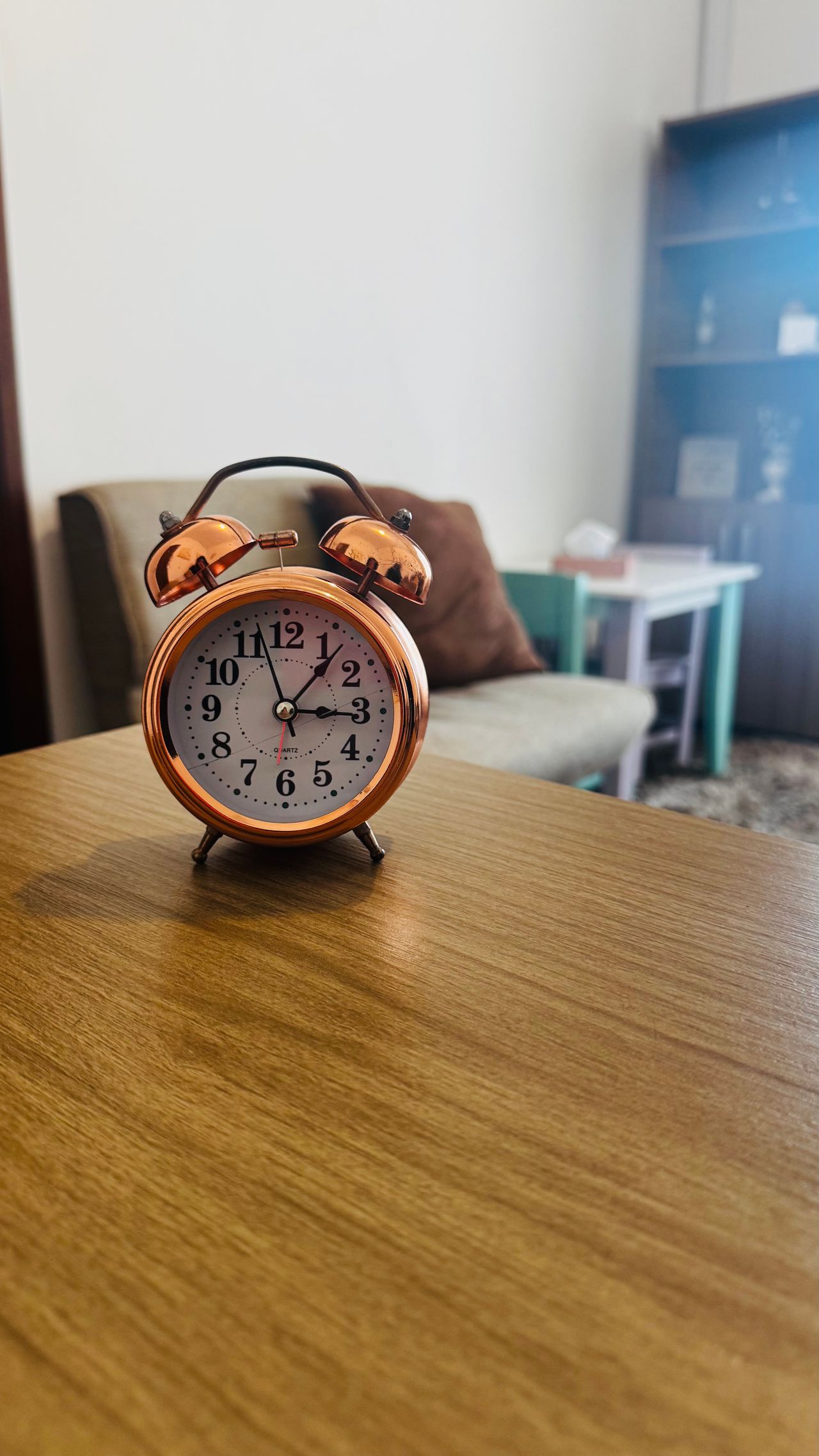 Beatriz Baltazar Da Costa-1