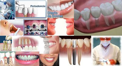 Miguel Angel Bustos Real-8